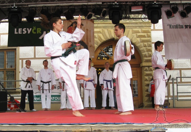 20-bojova umeni.jpg